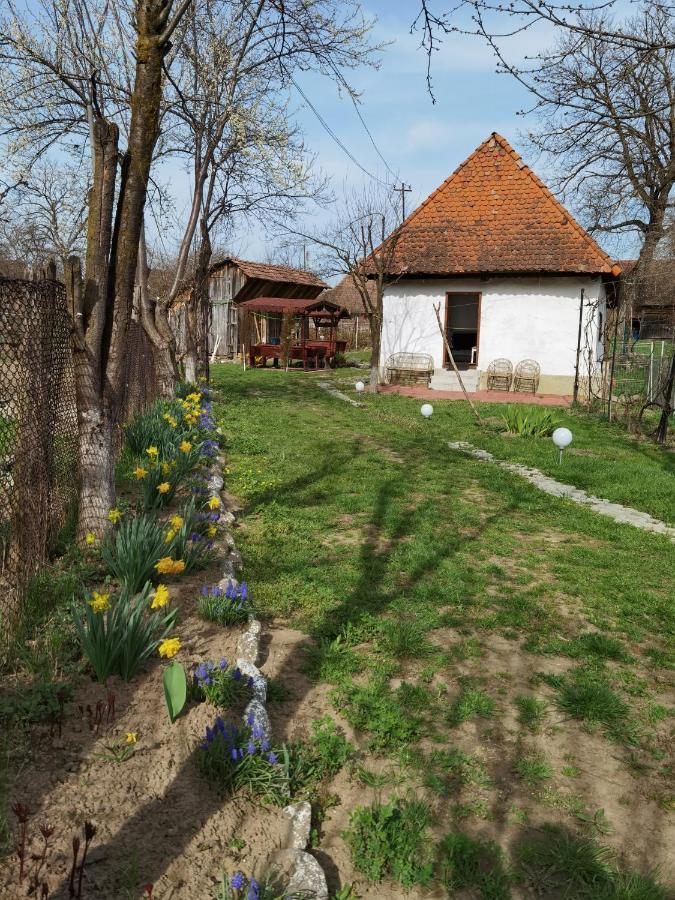 Sovarlak Sarateni Екстер'єр фото